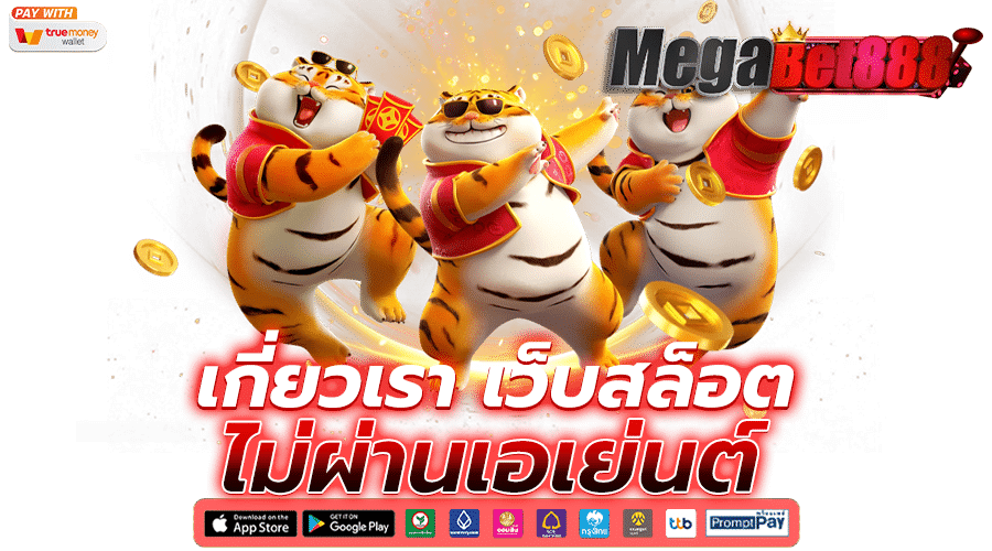 เกี่ยวกับเรา